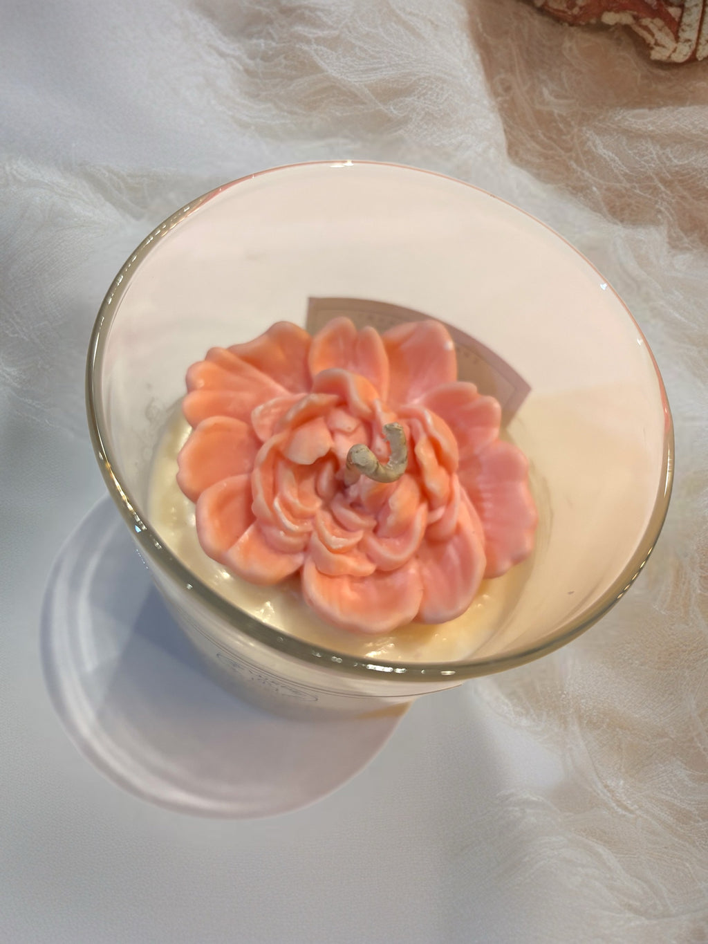 Lueurs Hanami